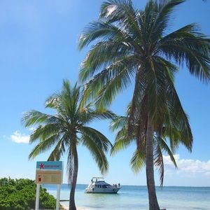 Meet your Posher, Toni